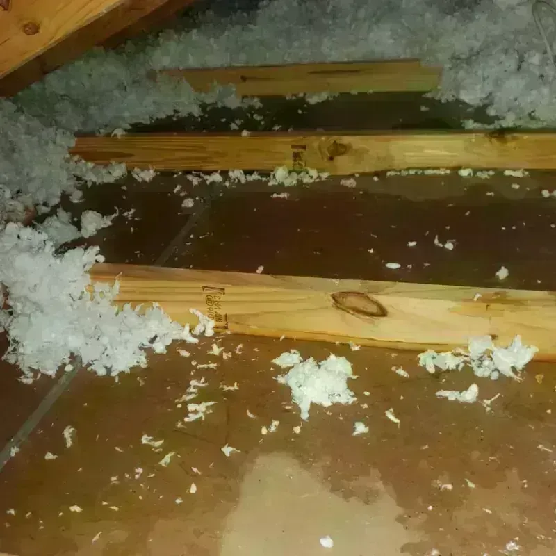 Attic Water Damage in Conway Springs, KS