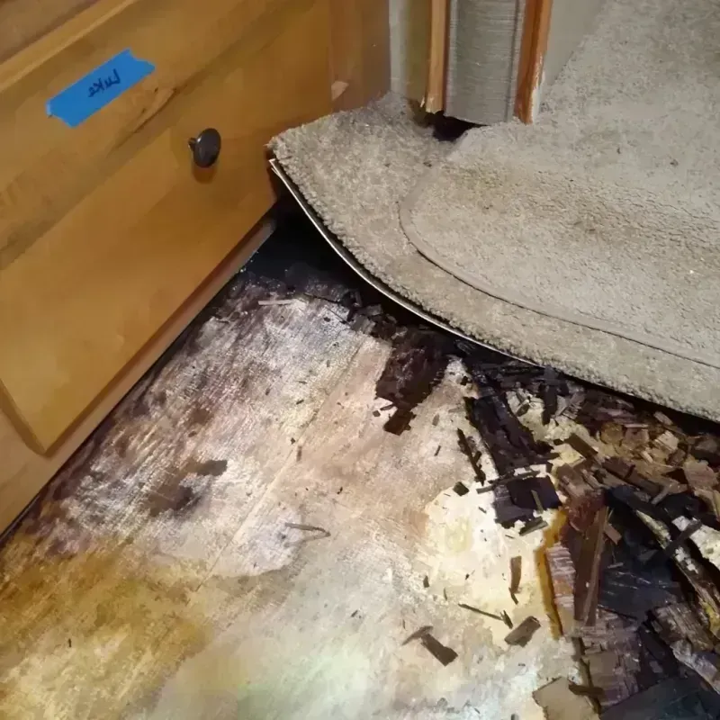 Wood Floor Water Damage in Conway Springs, KS